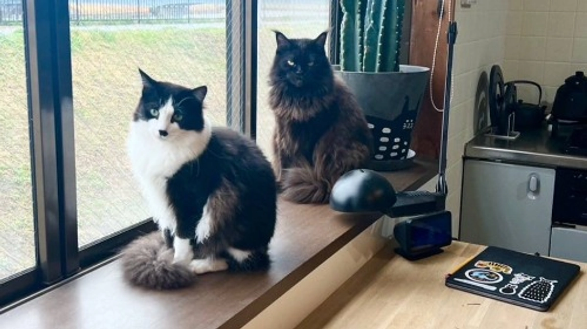 【ご支援総額140万円まであと18,000円です！】里親様から幸せ報告をいただきました💐