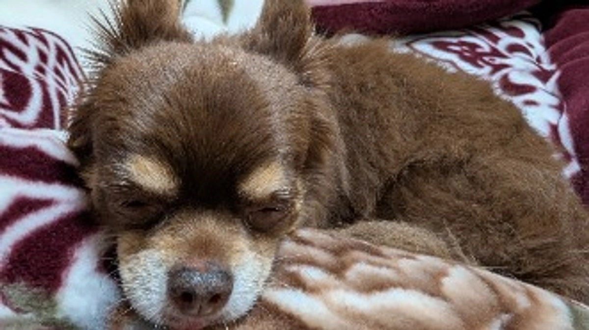 クラウドファンディング5日目❢