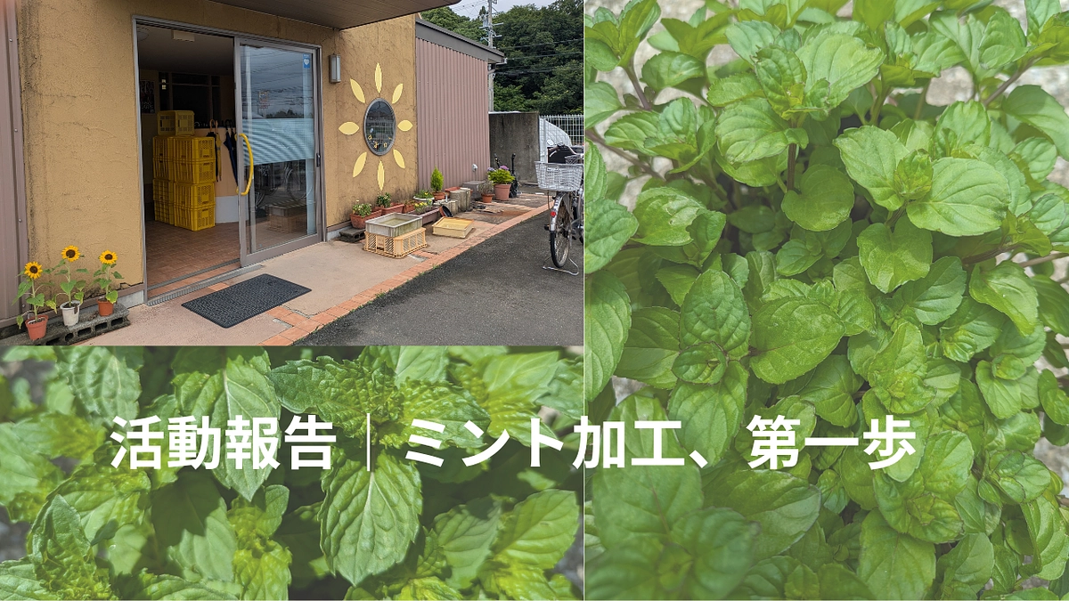 3日目の朝、第一歩が動き出しました