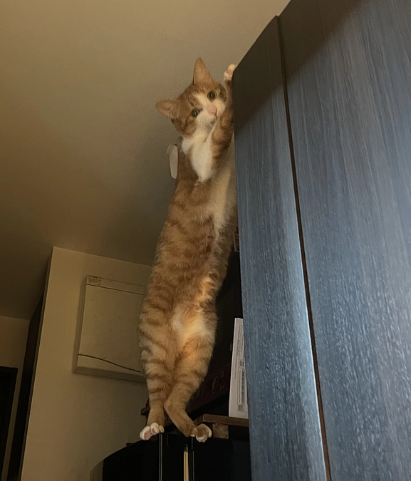 残り2週間を切ってしまいました…