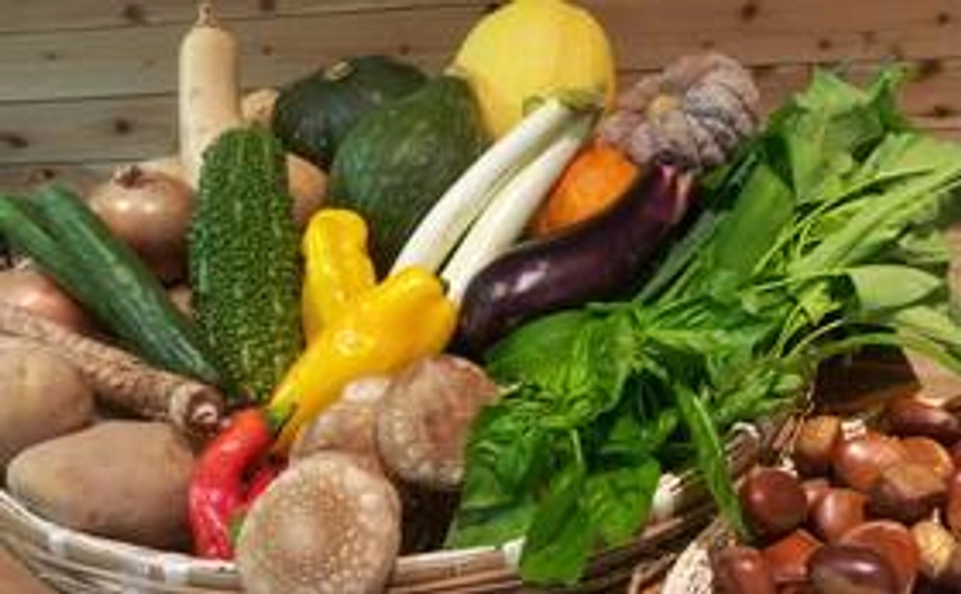 兵庫県産青果詰め合わせ≪3,000円相当≫をお送りします！