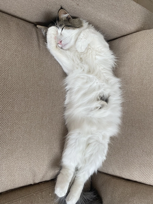 愛おしい後ろ姿