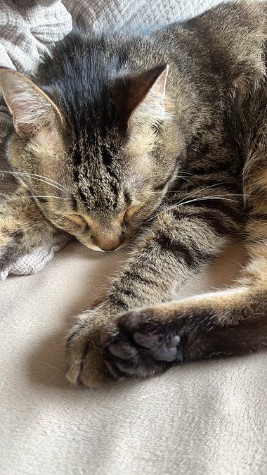 【残り17日】22日目の朝