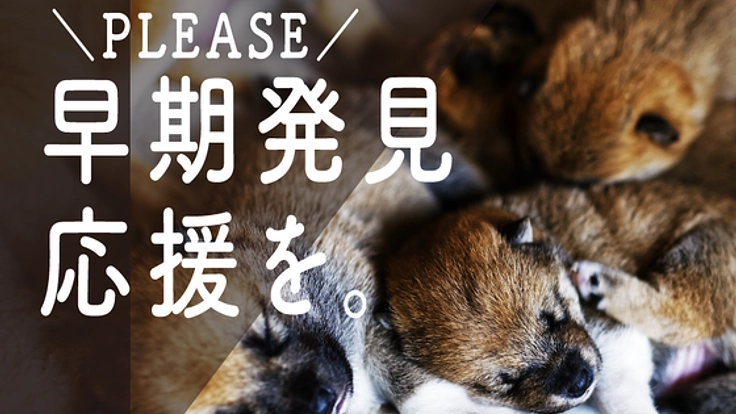 愛犬が健康で長生きできるように簡単・安心の未病発見サービスを