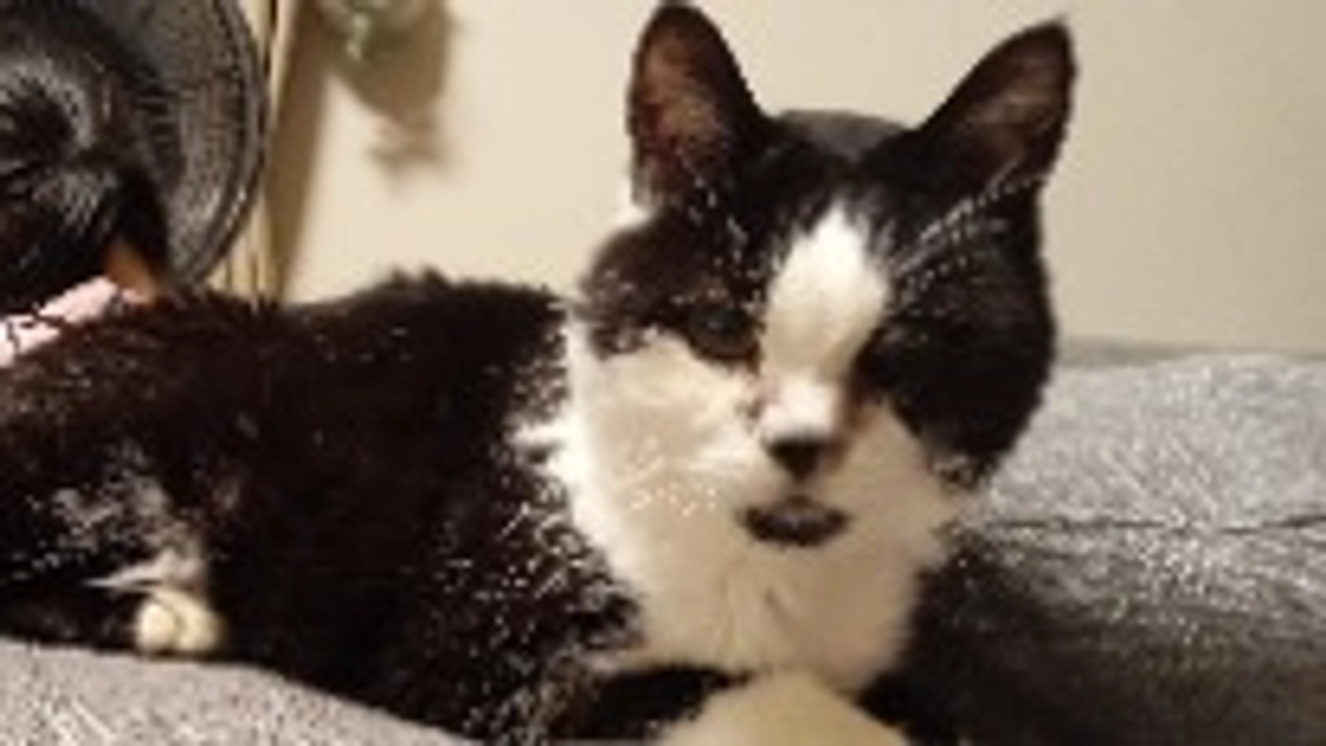 来週のこの日は手術