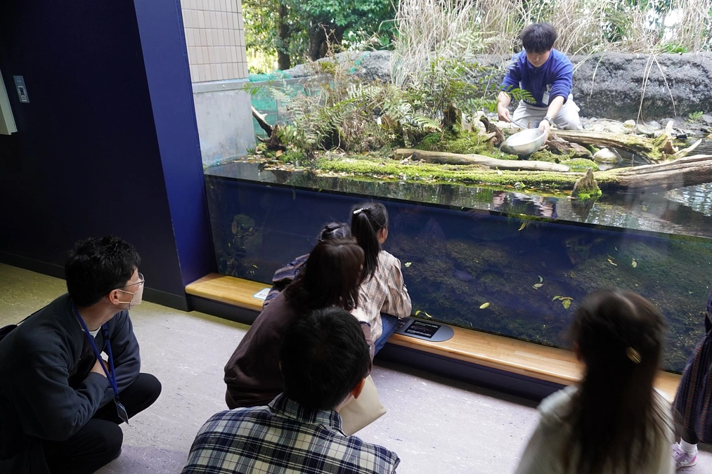 【リターン紹介⑦】DEEP解説水族展示