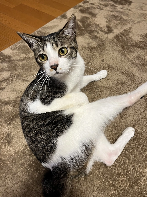 目標達成まであと少しです…