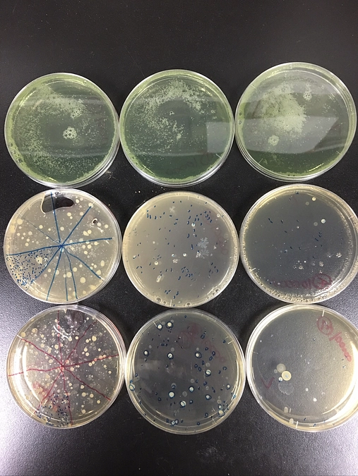 残り6日、最終目標達成まであと70万円強です！