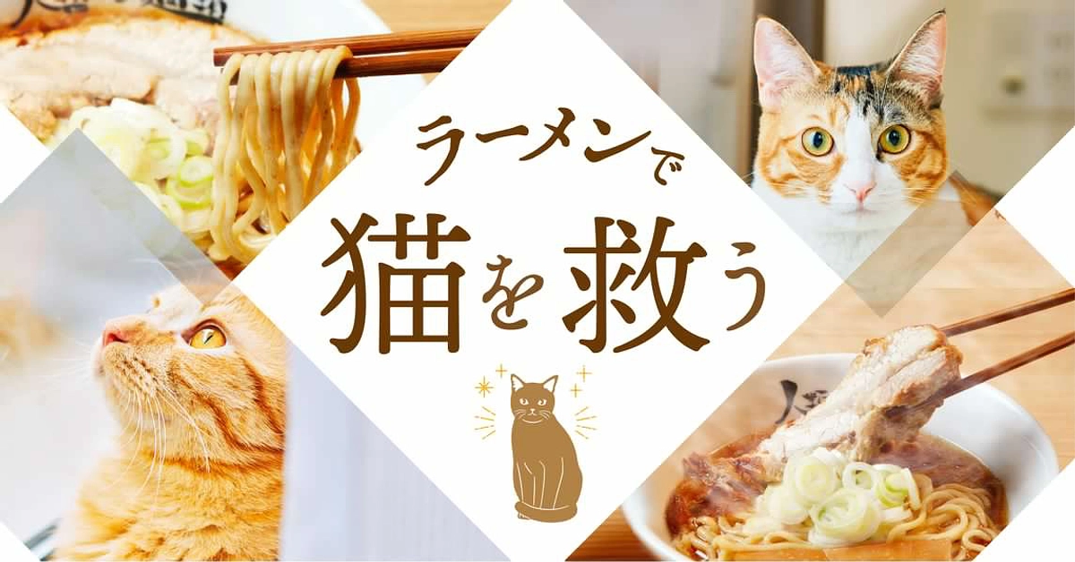 プロジェクトへの想い