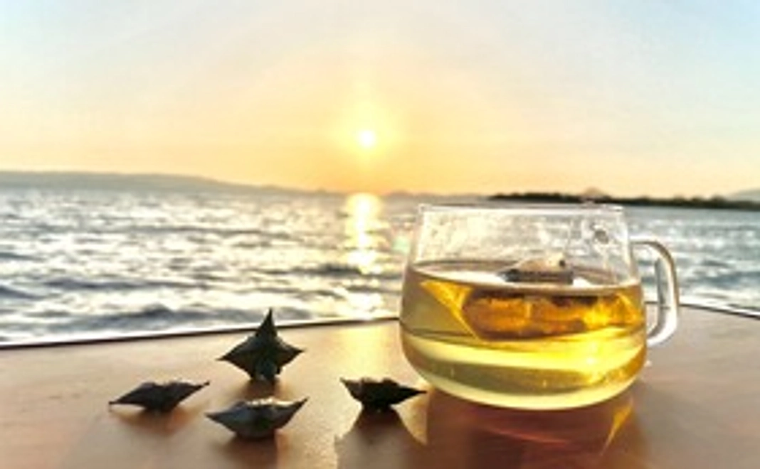 いなびし茶（お試し用タイプ）1袋 ＋ いなびしオリジナルマスク＆ステッカー ＋ 感謝のお手紙