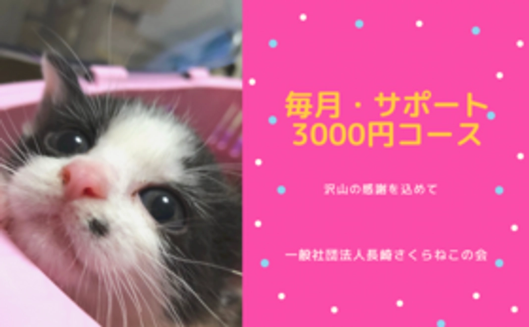 毎月サポート3000円コース