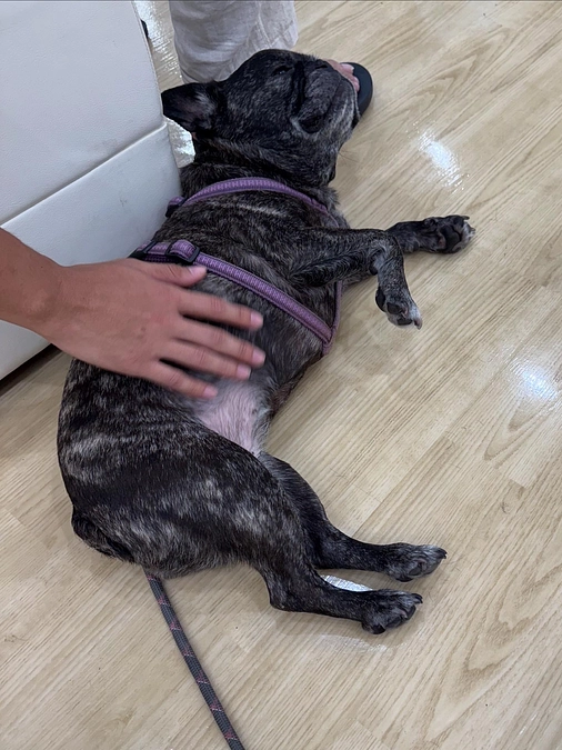 今日は病院の日でした