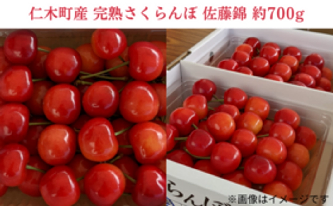 仁木町産 完熟さくらんぼ 佐藤錦(約700g※350g×2パック)