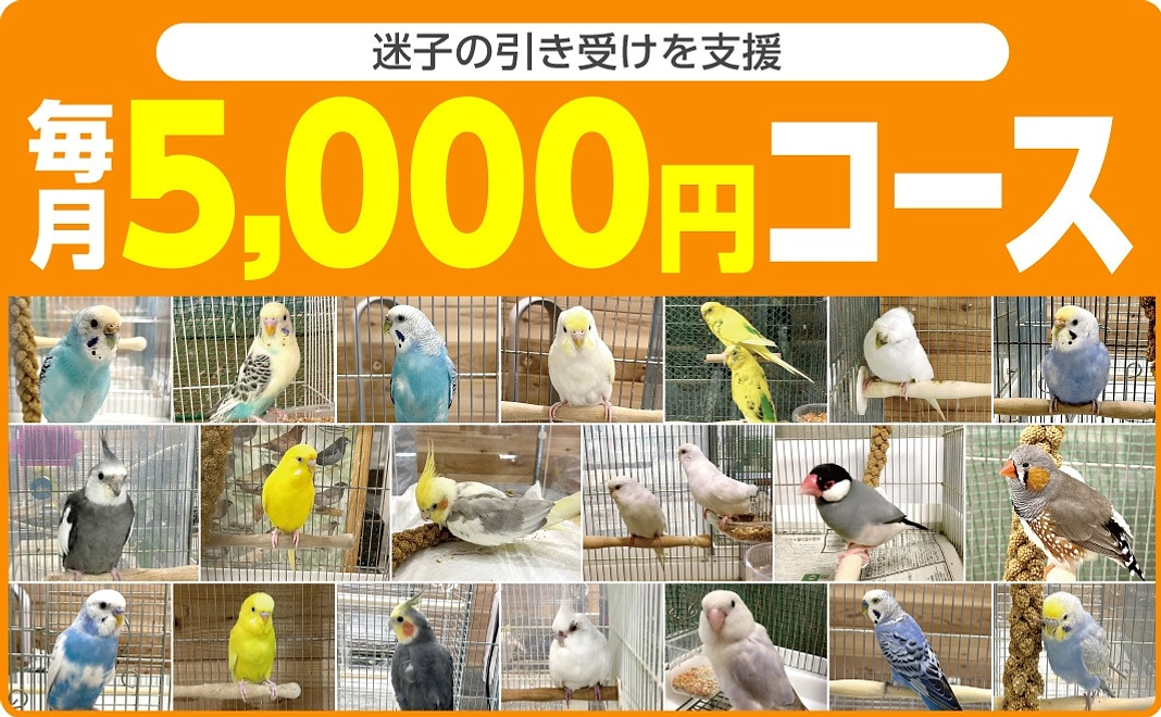 迷子の鳥たちを引き受ける際のケージ代、検査代、治療費をご支援