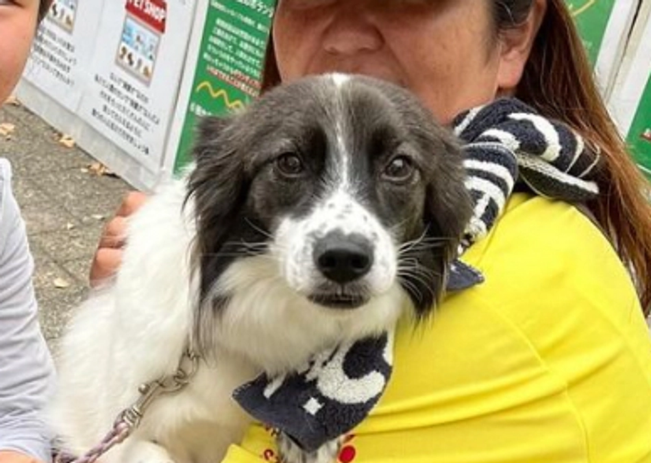 支援者さま470人を超えました！しあわせになった卒業生きあら　人間の大きな罪の一部