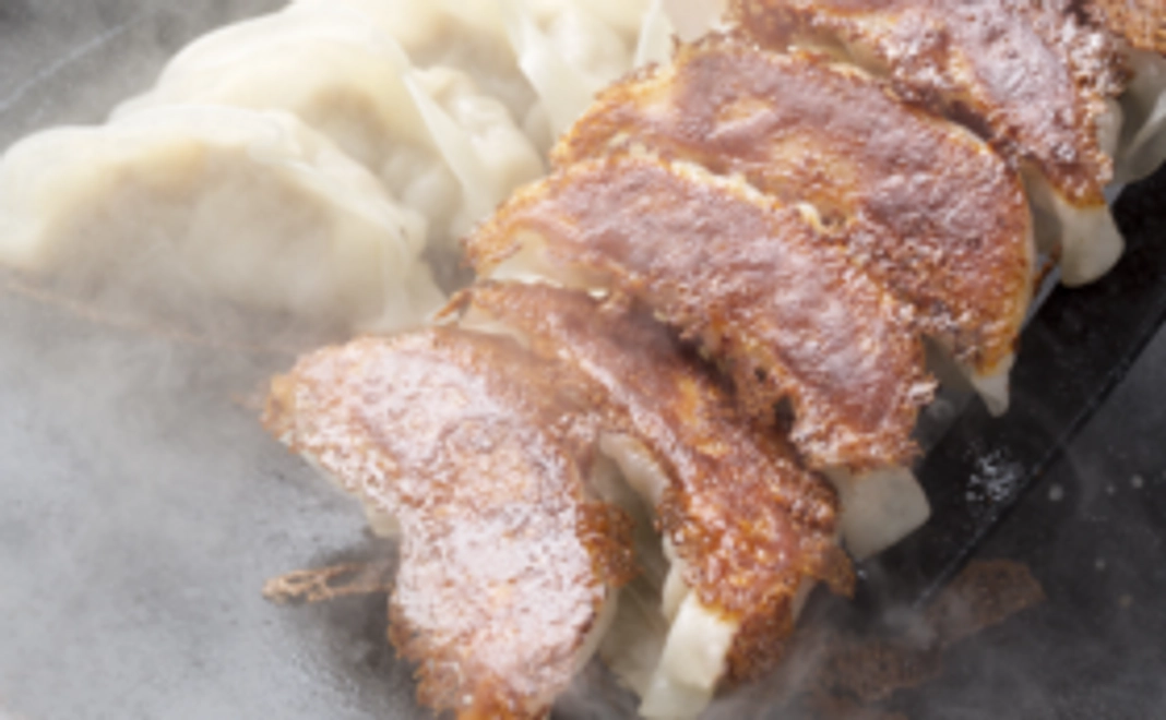 『餃子のたかこ オススメお試しコース』（送料込み）※1人前8個、350g!!