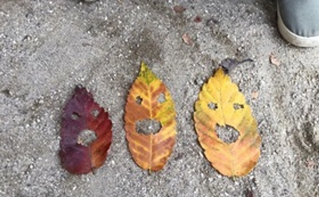 サンクスメール☆