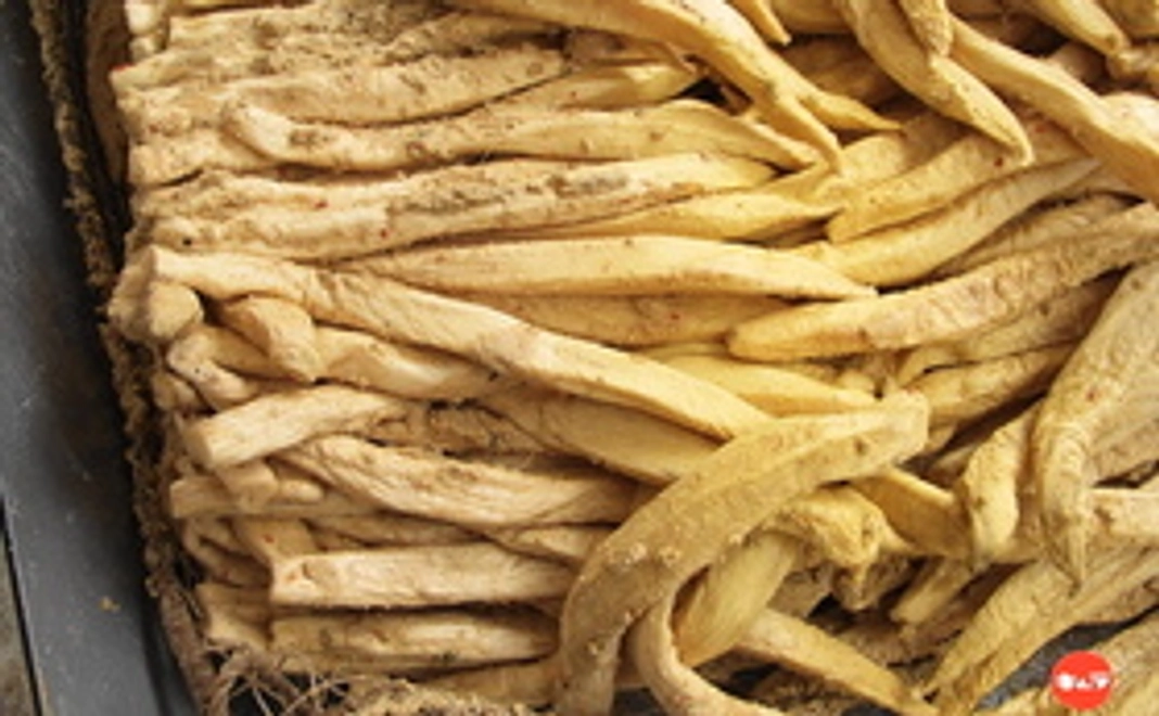 掲載商品お薦め