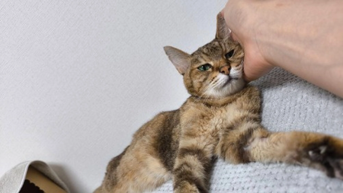 通院してきました。