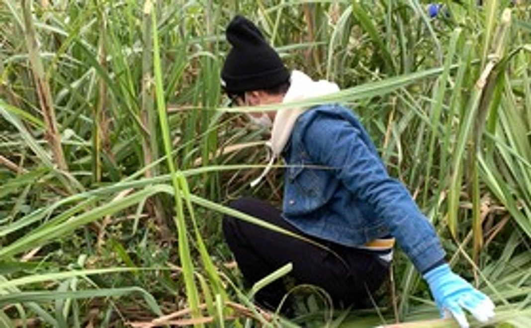 荒れた土地整地にご支援ください!