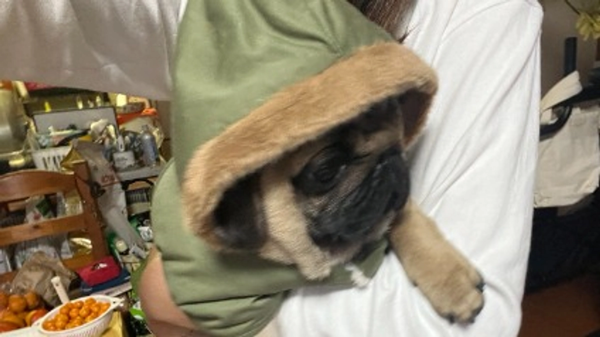 あけましておめでとうございます