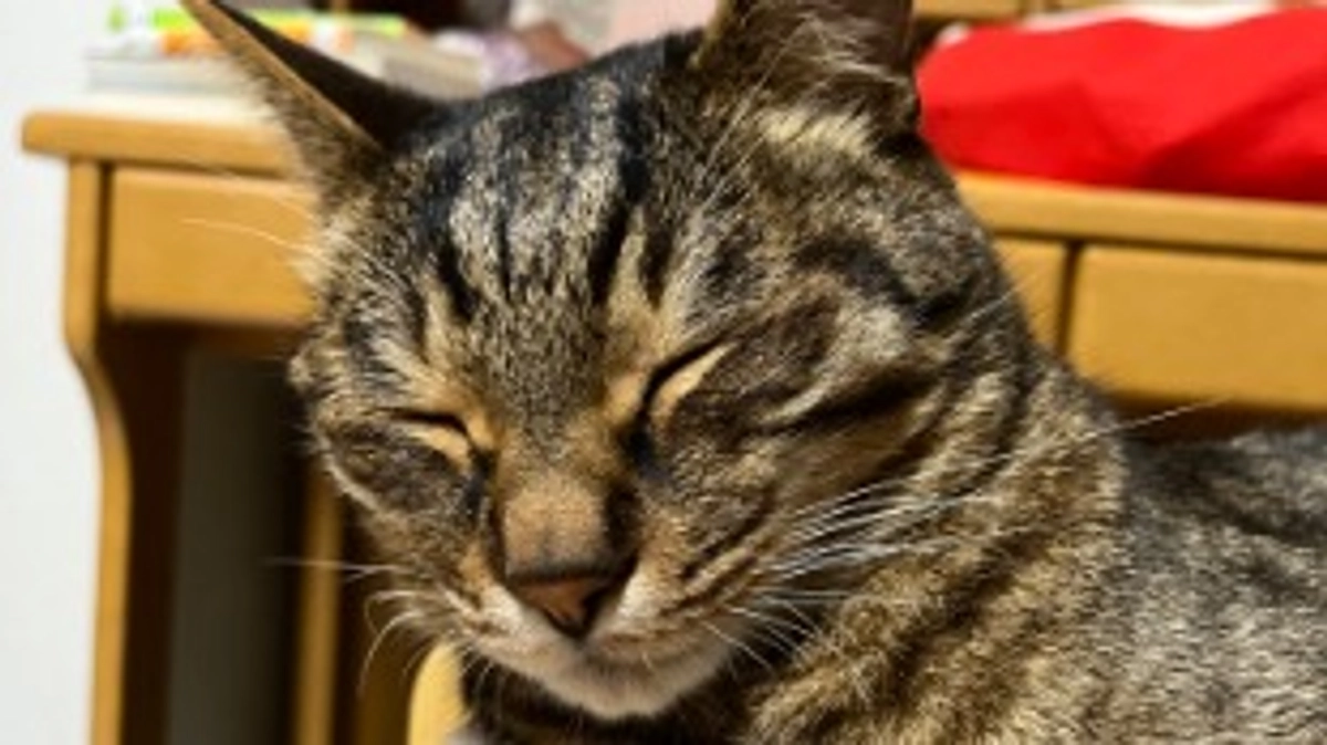 【今日のなっちゃん】6月12日