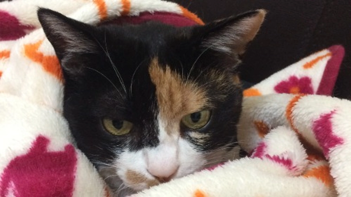 ■活動報告_7：冷たい雨の火曜日。