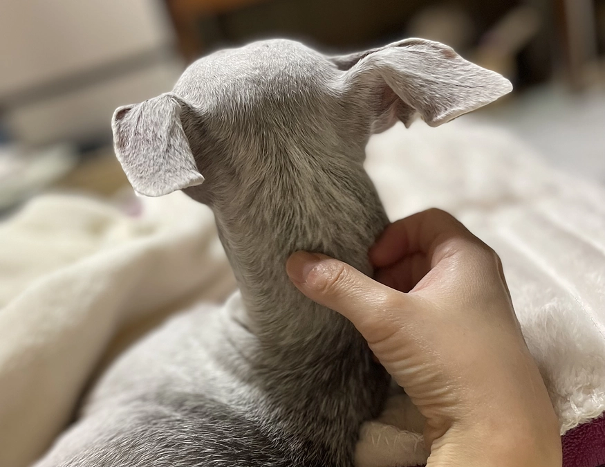 残り14日🗓️達成率14%⏰