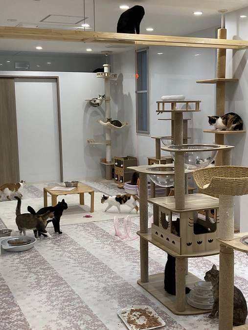 本日リニューアルオープンしました。