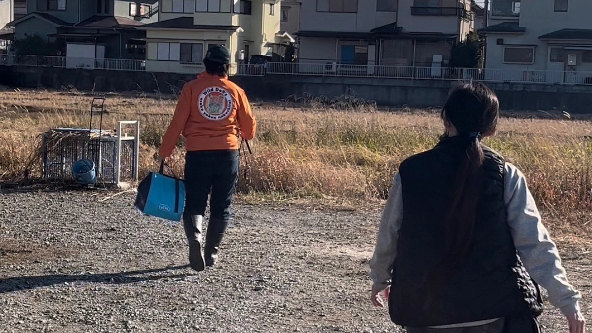 年末年始のレスキュー報告その②潜伏するのに雨と風は好条件。一瞬のチャンスを夢見て耐え忍びます