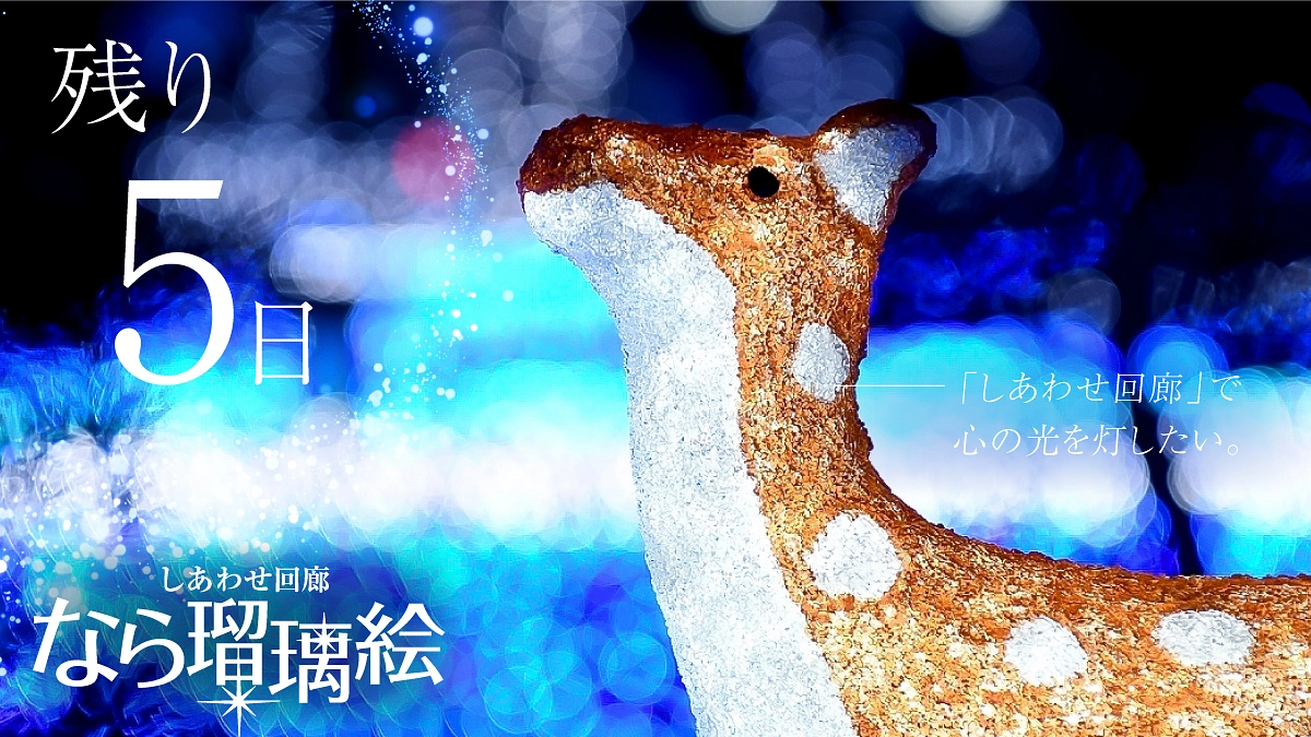 【残り5日】しあわせ回廊で心の光を灯したい —— 。