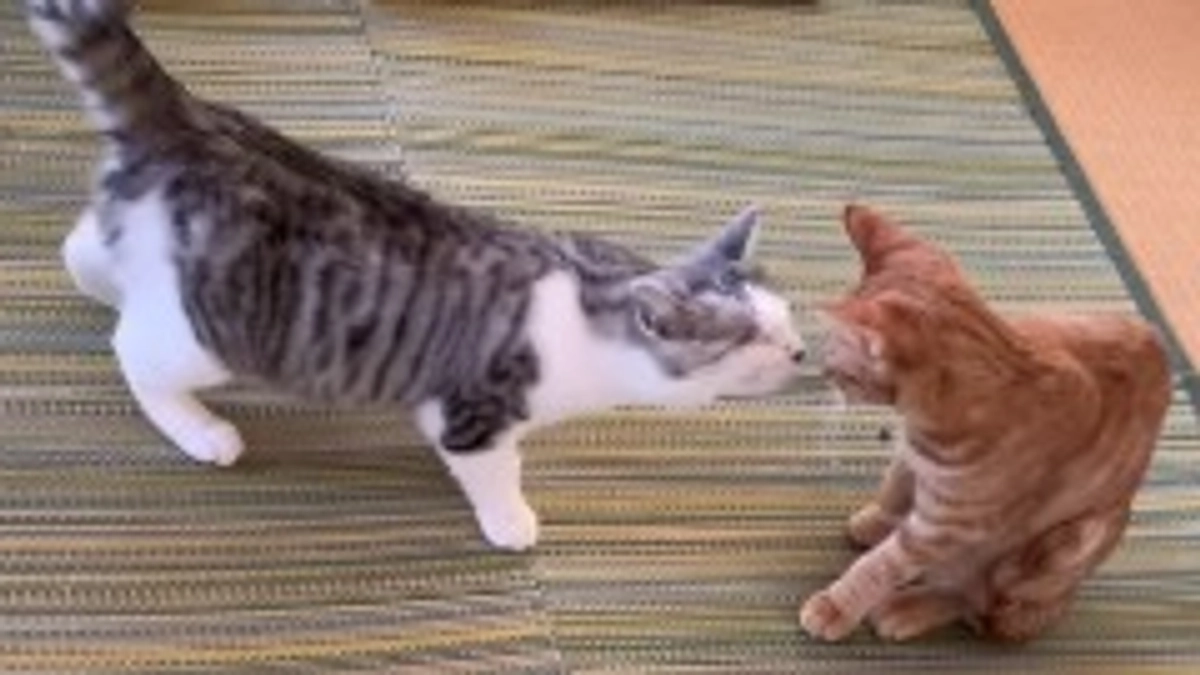 本当にありがとうございます🙇