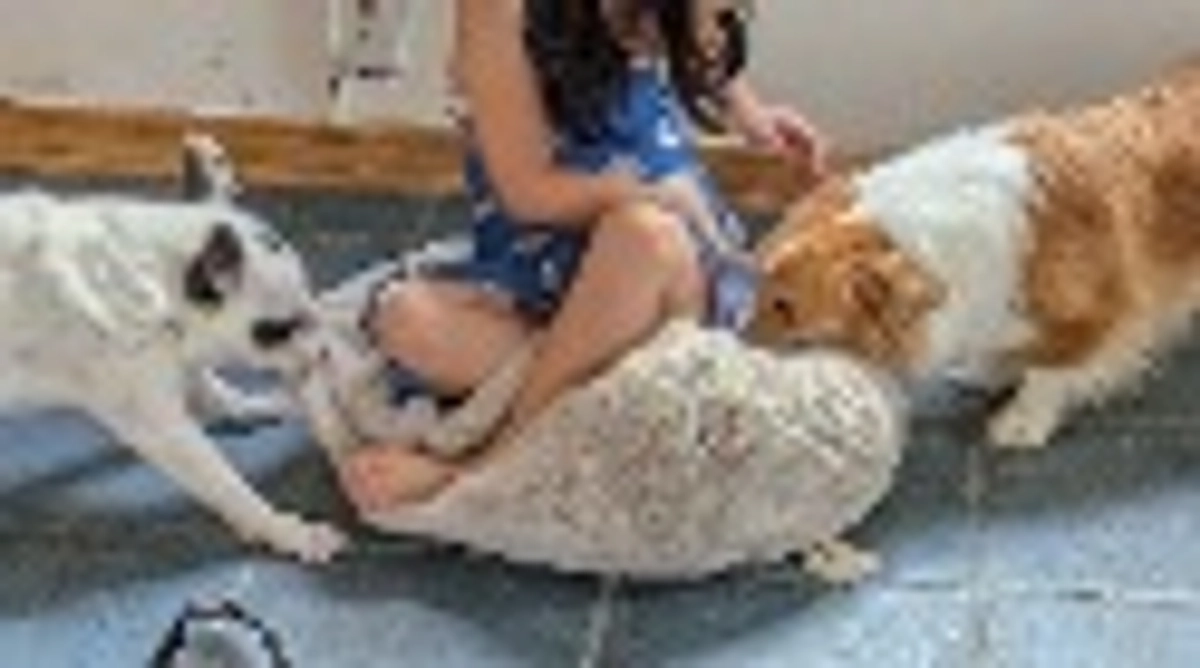 残り￥153,000　よろしくお願いします🙇✨