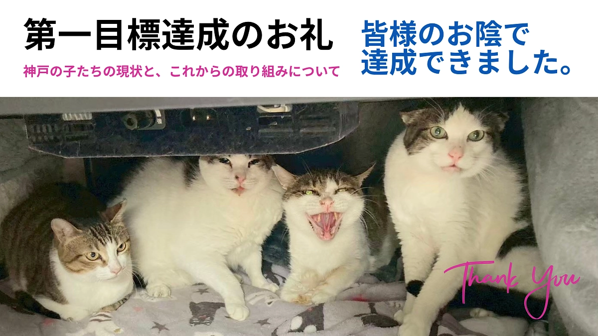 第一目標達成の御礼とネクストゴールについて【救いたい──神戸の子たちに、これからの安心を】