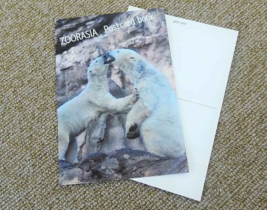 おすすめリターン紹介⑪　ズーラシアポストカードブック