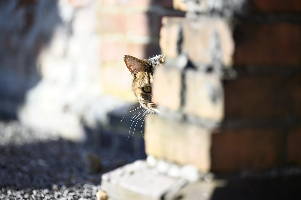 youtubeで公開中の  FMいるか「函館ウイークリーレビュー」で紹介がありました！