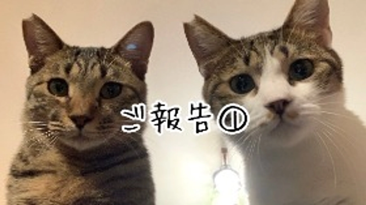 ご報告①