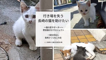 猫の変サポーター　野良猫ゼロプロジェクト のトップ画像