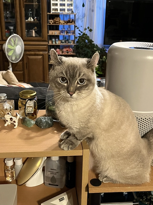 本日プロジェクト達成いたしました！ご支援いただいた皆様に心よりお礼申し上げます。