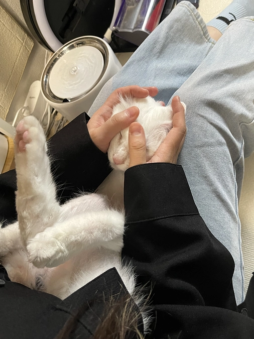 ポッキーデーに病院🏥