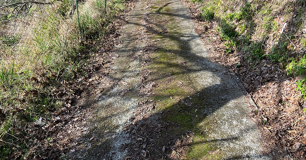 4/12(金)小規模林業推進協議会