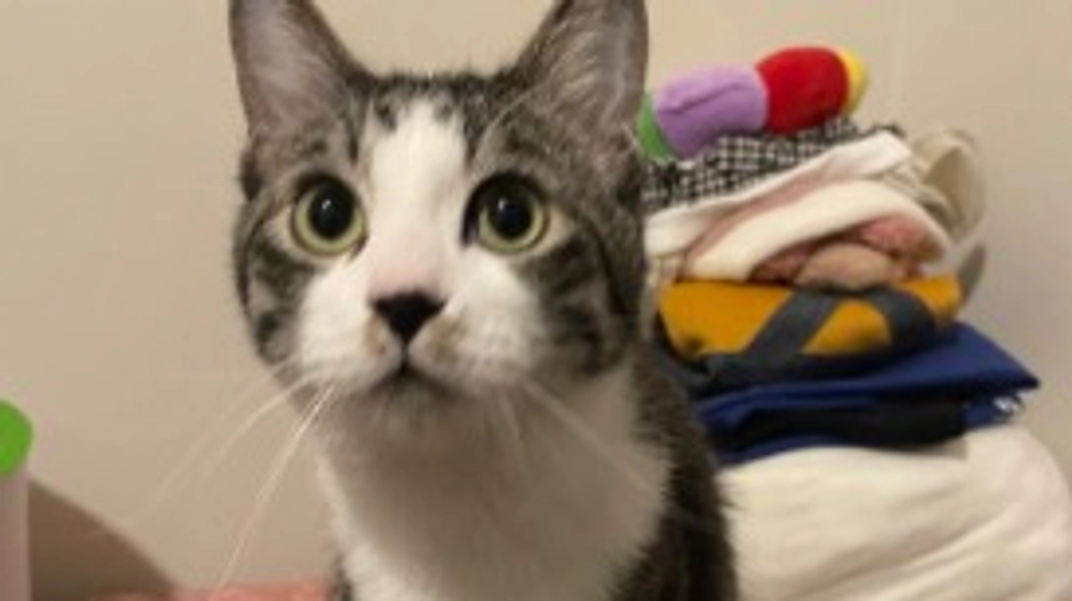 お兄ちゃんがお見舞いに来てくれました