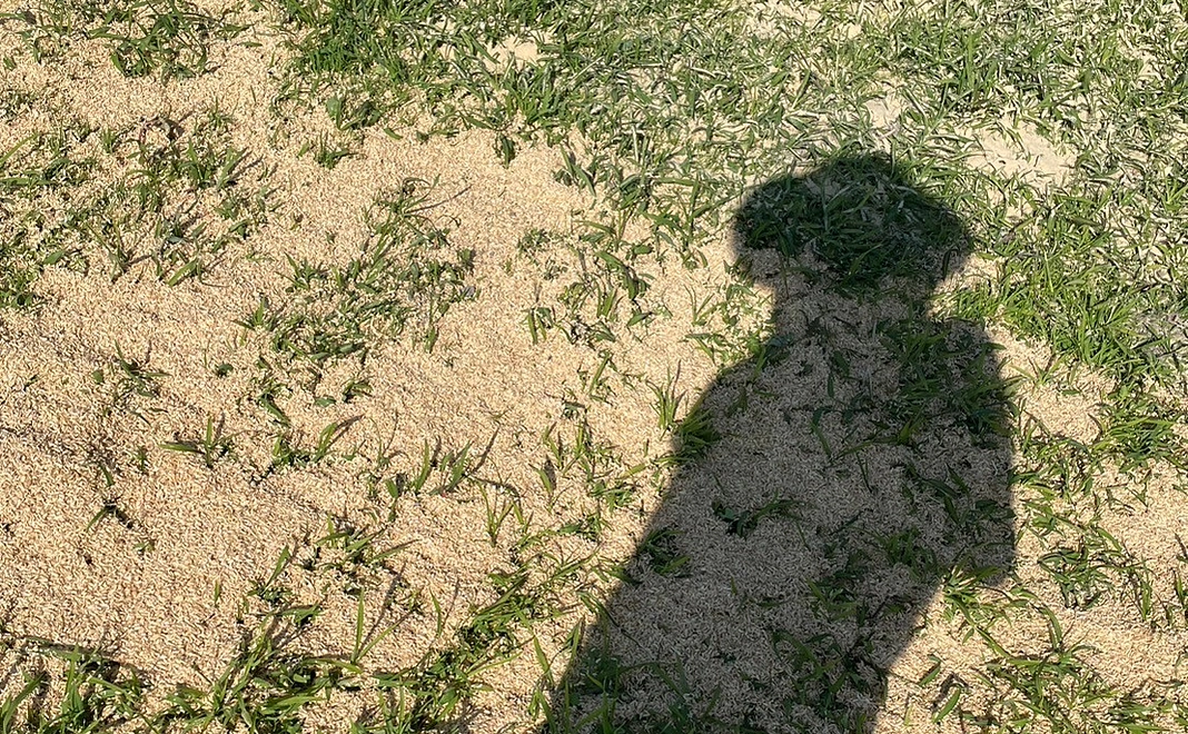 農業お手伝い体験の