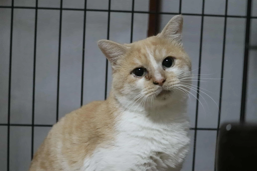 新たなプロジェクトに挑戦します！