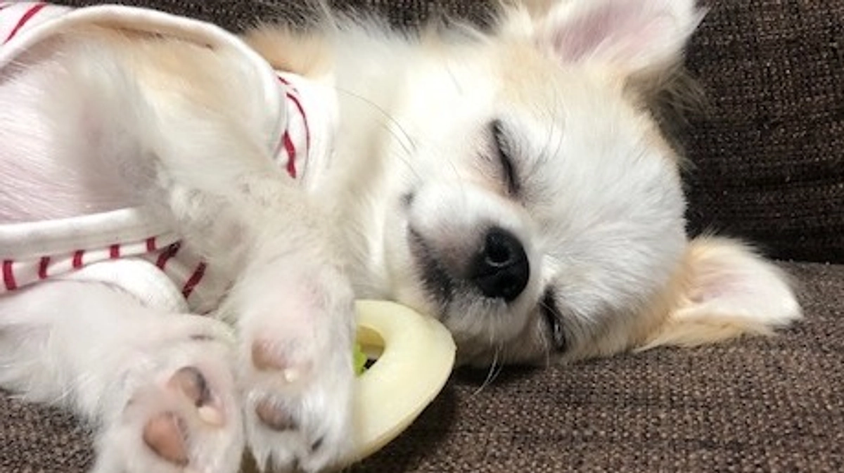 残り3日で達成😭✨残り期間も継続してご支援お受けしております🙇‍♀️