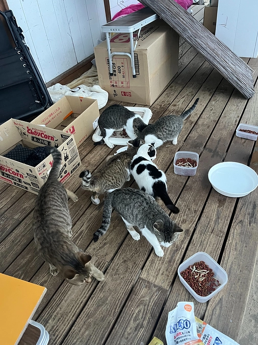 【大切なお知らせ】プロジェクトを応援してくださる皆様へ