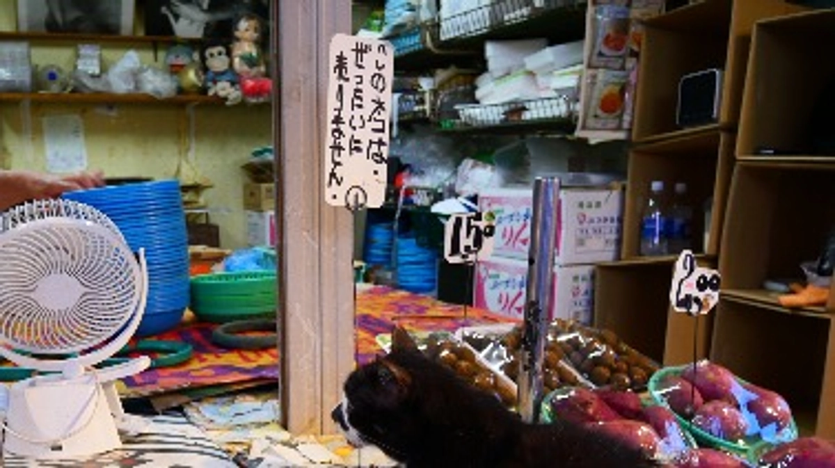 ロケハンではなく内覧の日々