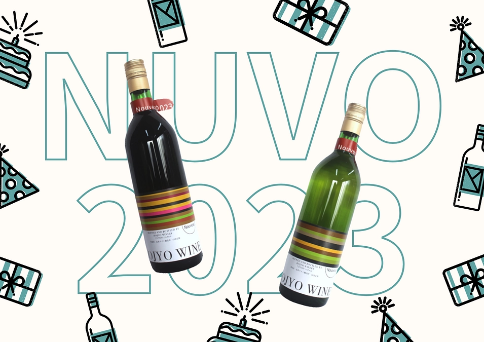 今年のヌーヴォも無事に出来上がりました！！