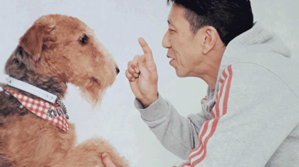 【売れ残りは冷凍処分!?】九死に一生を得た元保護犬で、僕の相棒レイリー。多くの犬を救うも、腫瘍が…