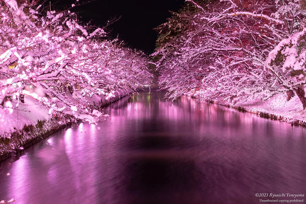 ネクストゴール達成の御礼、そして試験点灯を行いました！！